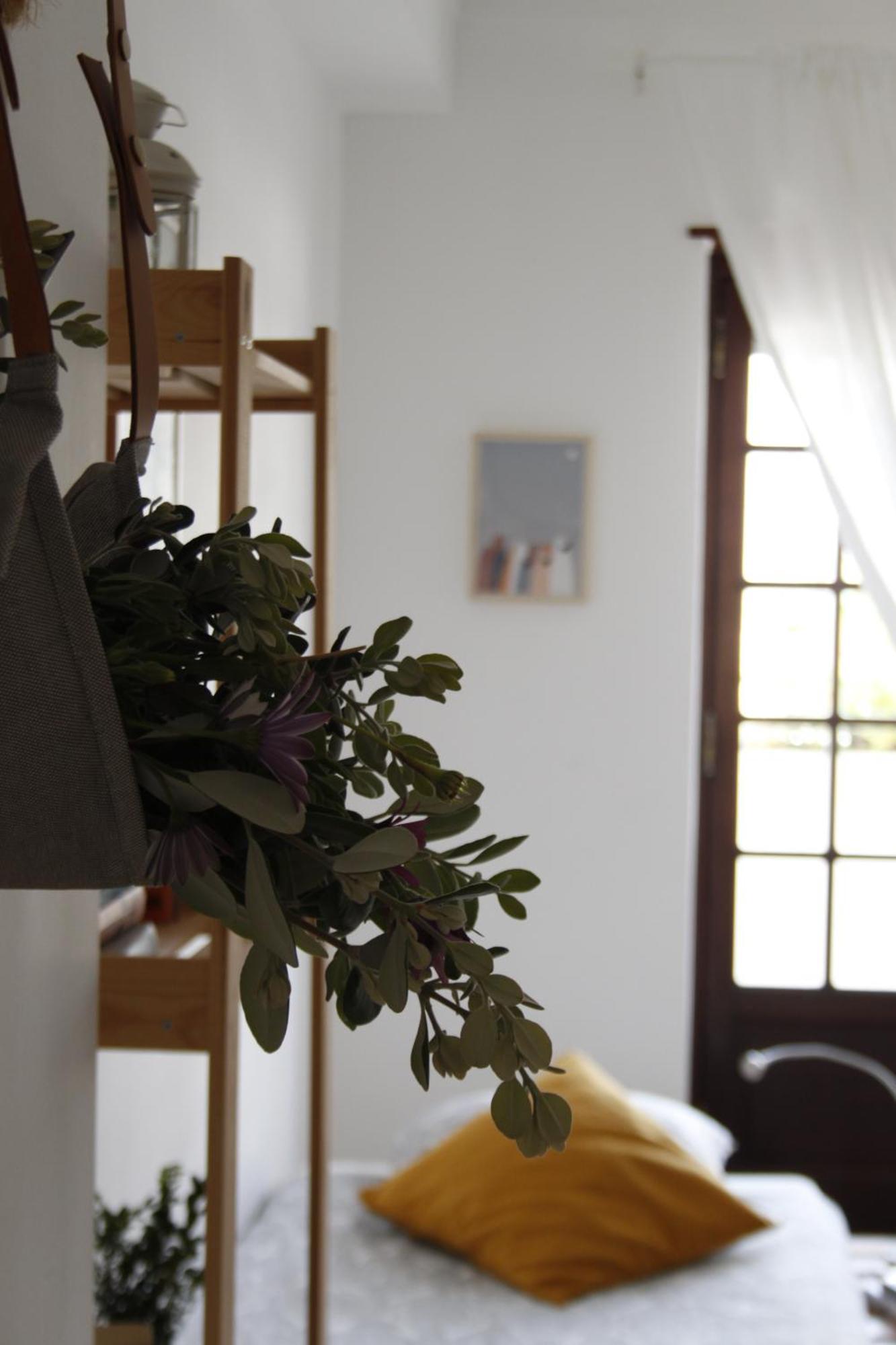 Boa Onda Guesthouse Atouguia Da Baleia Δωμάτιο φωτογραφία